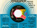 BOBBY REED · You Are / I’m Not Coming Back · NORTHERN SOUL Popcorn 45 Brunswick