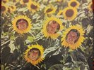 SUNNYBOYS - INDIVIDUALS LP ORIGINAL 1982 GATEFOLD PRESSING