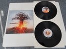Amorphis - Skyforger Vinyl LP