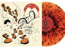 ATO King Gizzard Gumboot Soup Greenhouse Heat Death Lp Vinyl Record