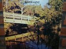 River Saint RARE 1977 Miami Private Press Country Rock LP VG/NM Gary Vandy  OOP