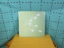 Modest Mouse's vinyl Good News for People Who Love Bad News LP - Near Mint Cond