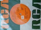 the sweet - santa monica sunshine - argentinia