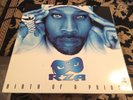Rza - Birth Of A Prince - Vinyl LP Record - RARE - Wu-Tang Clan