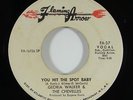 Gloria Walker & the Chevelles 