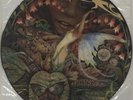 Spyro Gyra picture disc LP vinyl album record Morning Dance USA promo 9004