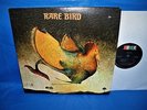 RARE BIRD   1st Lp   1970 PROBE RECORDS w/ GATEFOLD COVER   NEAR MINT