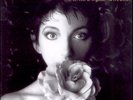 Kate Bush The Sensual World Vinyl LP EMD1010 793078 1 - EX