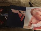 Van Halen, Huge 3 LP lot. Strong VG+ conditon. First 2 albums plus 1984.