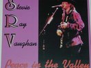 STEVIE RAY VAUGHAN Peace In The Valley LP CV +Promo Voucher-Last Night Not TMOQ