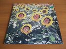 SUNNYBOYS INDIVIDUALS ORIG AUS LP 1982 MUSHROOM UNPLAYED