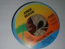 Junior Murvin ,Police and Thieves , Jah Lion , Soldier....... , 7 