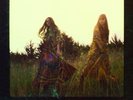 The Lion's Roar [VINYL] First Aid Kit Vinyl