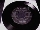 RARE ORIGNAL GARAGE ROCK PSYCH 45 VINCE VANCE & THE VALIANTS Fortune Teller HEAR