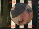 Blondie-Parallel Lines-Chrysalis-PicDisk-LP-NonProfit Org