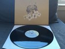 RARE /100 BLACK 1st Press AJJ Andrew Jackson Jihad People Who Can Eat... Vinyl