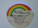 LITTLE JOHN Work To Do PAPA ROOTS Roots Reggae 12