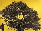 Jack Johnson In Between Dreams Vinyl LP New