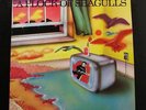 A Flock Of Seagulls - A Flock Of Seagulls LP VG+ VA 33003 USA 1982 Vinyl Record