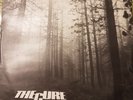 the cure 12
