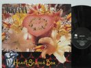 NIRVANA - Heart Shaped Box 12