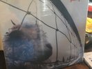 Pearl Jam Vs 12” LP Black Vinyl New Sealed Epic USA Z 53136 Gatefold