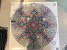 RED HOT CHILI PEPPERS I'M WITH YOU B SIDES SESSIONS 9x 7