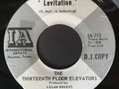 Texas Garage 45 Thirteenth Floor Elevators “Levitation”