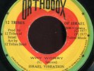Israel Vibration - Why Worry JA Orthodox 7