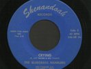 Ohio Bluegrass 45   Bluegrass Ramblers   Shenandoah   Listen