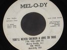 The Vells 7