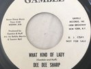 dee dee Sharp -what Kind Of  Lady Demo - Excellent condition