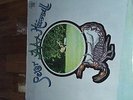PETER HAMMIL : CHAMELEON IN THE SHADOW OF THE NIGHT ( ORIGINAL NL 73 )