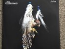 The Courteeners - Falcon (1st Press Vinyl LP) (2010 UK). Never Played. Polydor.