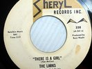 LARKS vg+ SHERYL 45 Van McCoy penned THERE IS A GIRL   LET'S DRINK A TOAST FM679