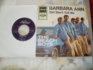 The Beach Boys Barbara Ann Car Cover