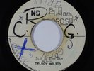 Reggae 45 DELROY WILSON/SKATALITES Spit In The Sky/Black Sunday on ND