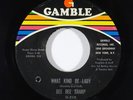 Northern Soul 45 DEE DEE SHARP What Kind Of Lady/You're Gonna Miss Me on Gamble