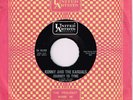 KENNY AND THE KASUALS Journey To Tyme b/w I'm Gonna....1966 45 RPM UA-50,085 EX