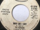 GARAGE PUNK PROMO 45/ REMAINS 