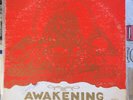 PHARAOHS THE AWAKENING Afro Jazz Funk Soul Original