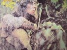 MAYALL, John - Blues From Laurel Canyon - Vinyl (gatefold LP)