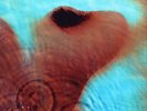 Pink Floyd Meddle LP sealed vinyl record 180 gram remastered reissue