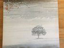 Genesis ?Wind and Wuthering LP UK 1st textured NEAR MINT Charisma ?mad hatter