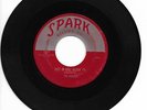 Doo Wop R&B 45 THE ROBINS Riot In Cell Block #9 Spark HEAR