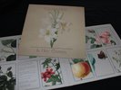 Colour Haze - In Her Garden - Gatefold Double LP new