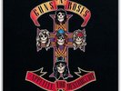 Universal Music Group Guns N' Roses - Appetite for Destruction Vinyl LP