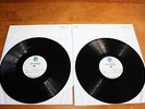 Serj Tankian - USA 2LP Test Pressing / Elect The Dead 2007