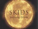 Skids vinyl LP album record Burning Cities - Red Vinyl + Sealed UK NB3LPX