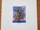 TALK TALK - SPIRIT OF EDEN - LP